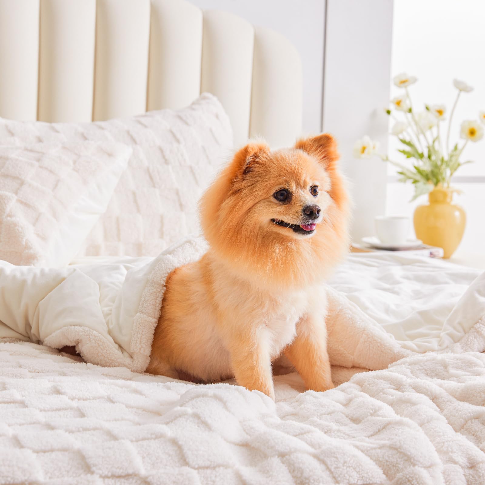 Ultra-Soft Checkered Fleece Blanket Set — Warm, Fluffy, Reversible Winter Bedding