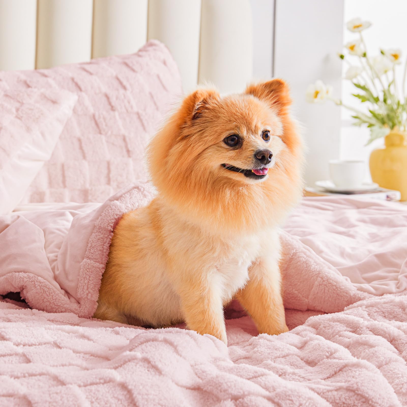 Ultra-Soft Checkered Fleece Blanket Set — Warm, Fluffy, Reversible Winter Bedding