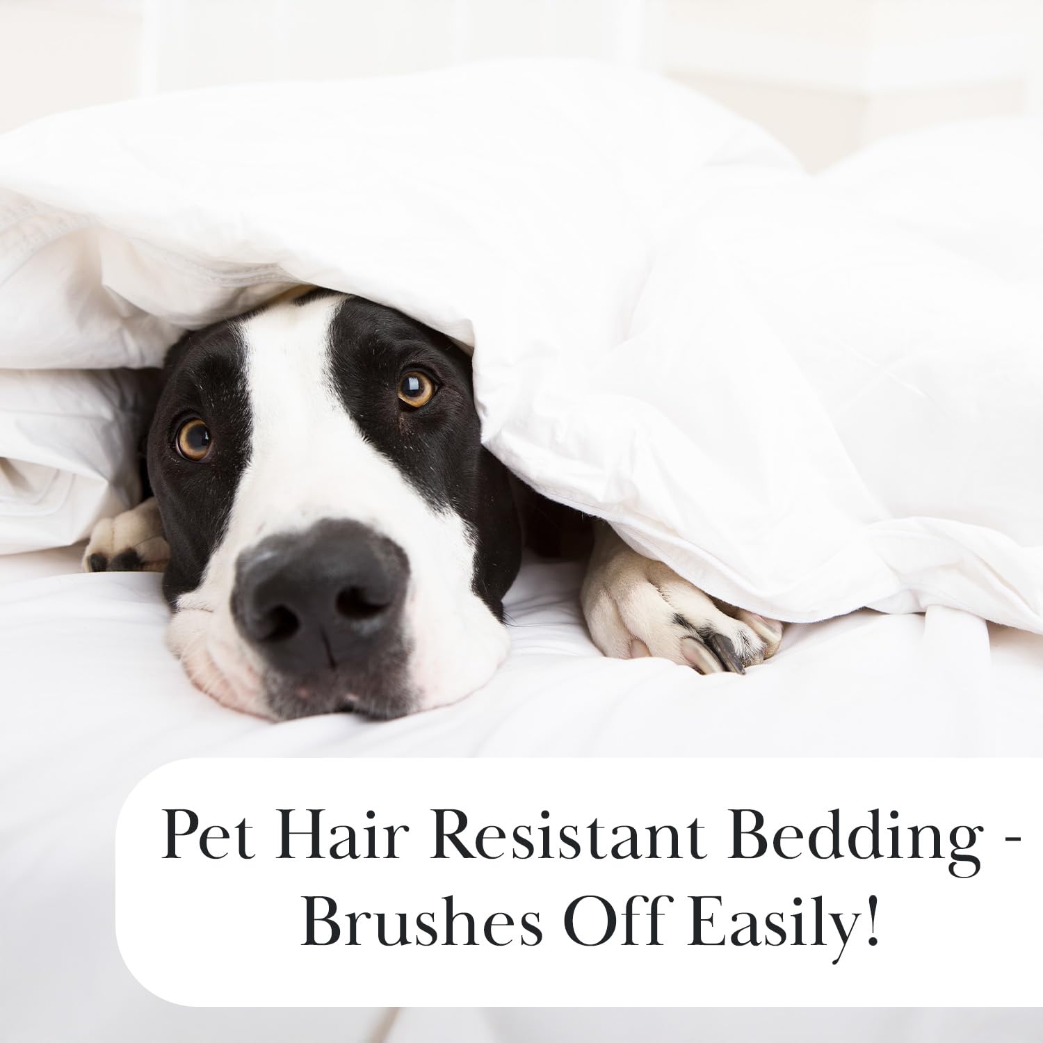 Herringbone Tufted Cut Jacquard Quilt Set – 3D Textured Design, All-Season Down-Alternative Filling & Easy-Care Microfiber Bedding