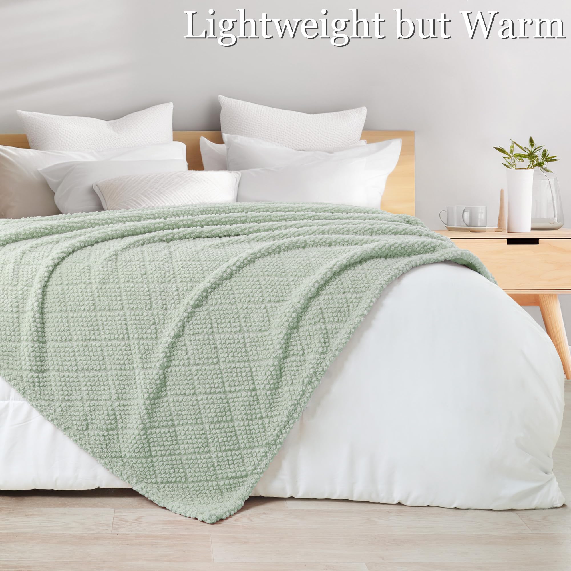 Soft and Fluffy Dot-Texture Fleece Throw Blanket